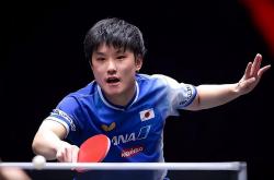 开云体育APP下载-法国乒乓球队险胜波兰乒乓球队，张本智和惊艳世界的简单介绍