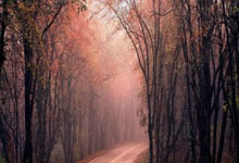 开云体育在线-包含凯尔特人力克江苏队，周琦刷新纪录的词条