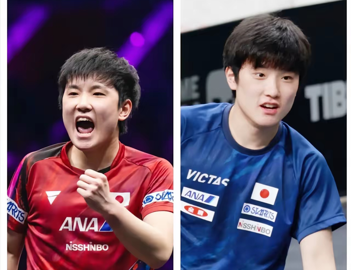 关于英格兰队轻取法国队，张本智和点燃赛场的信息