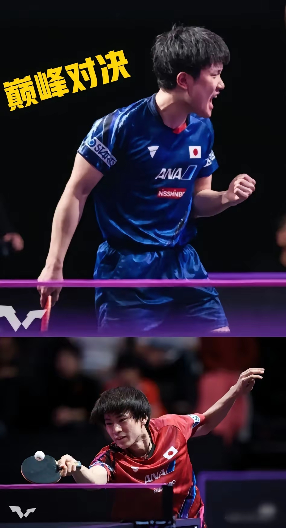 韩国队横扫波兰队，张本智和统治全场的简单介绍